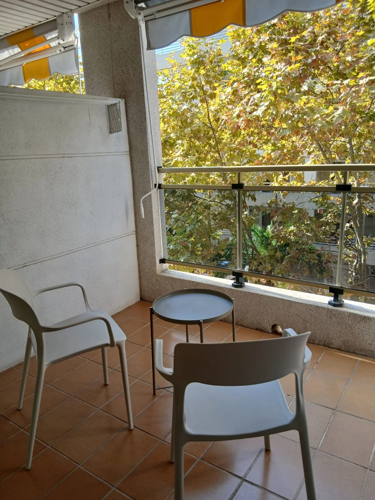 apartamento-michelangelo-04 Terrace of the Michelangelo Apartment